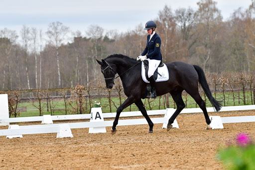 Reitsportzentrum Bremervörde | 170421 Dressurreiter A_336 