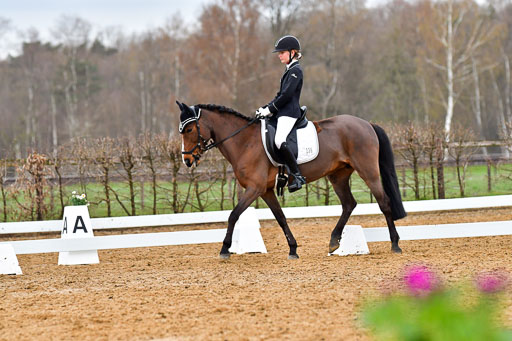 Reitsportzentrum Bremervörde | 170421 Dressurreiter A_337 