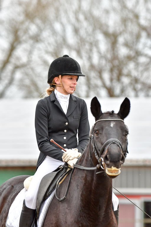 Reitsportzentrum Bremervörde | 170421 Dressurreiter A_339 
