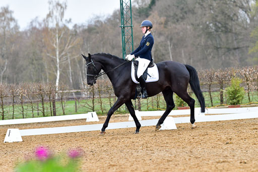 Reitsportzentrum Bremervörde | 170421 Dressurreiter A_348 