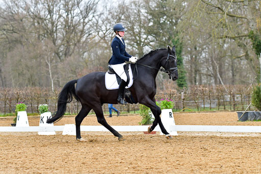 Reitsportzentrum Bremervörde | 170421 Dressurreiter A_351 