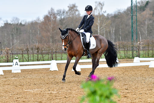 Reitsportzentrum Bremervörde | 170421 Dressurreiter A_359 
