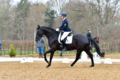 Reitsportzentrum Bremervörde | 170421 Dressurreiter A_360 