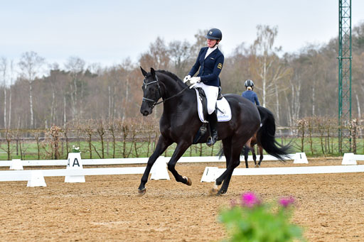 Reitsportzentrum Bremervörde | 170421 Dressurreiter A_361 