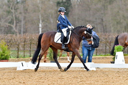 Reitsportzentrum Bremervörde | 170421 Dressurreiter A_366 