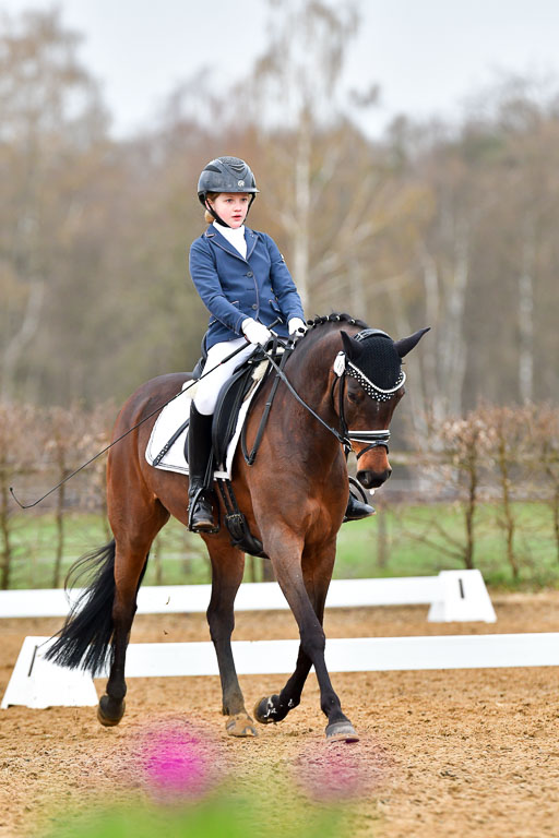 Reitsportzentrum Bremervörde | 170421 Dressurreiter A_367 