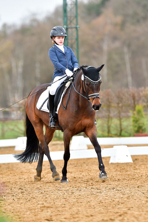 Reitsportzentrum Bremervörde | 170421 Dressurreiter A_369 