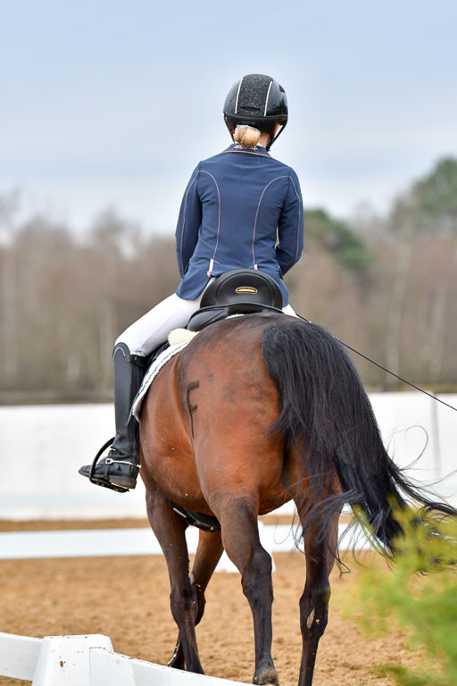 Reitsportzentrum Bremervörde | 170421 Dressurreiter A_373 