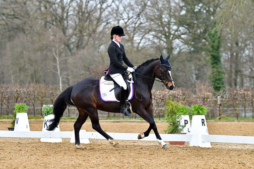 Reitsportzentrum Bremervörde | 170421 Dressurreiter A_378 