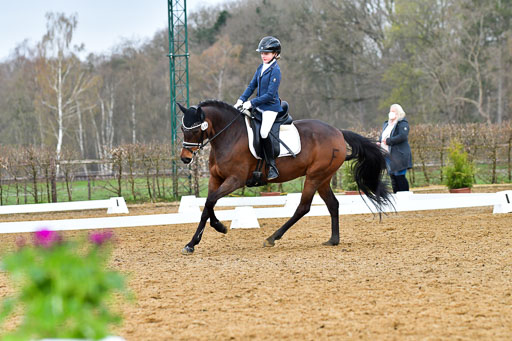 Reitsportzentrum Bremervörde | 170421 Dressurreiter A_380 