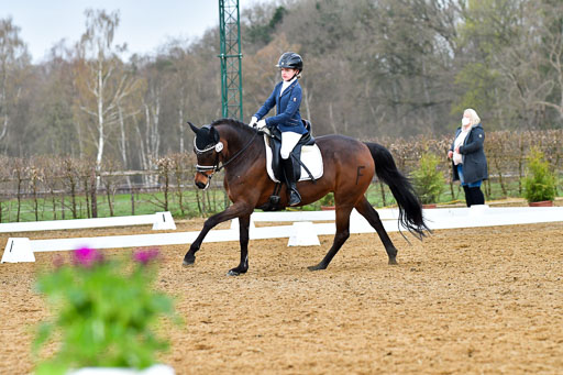 Reitsportzentrum Bremervörde | 170421 Dressurreiter A_381 