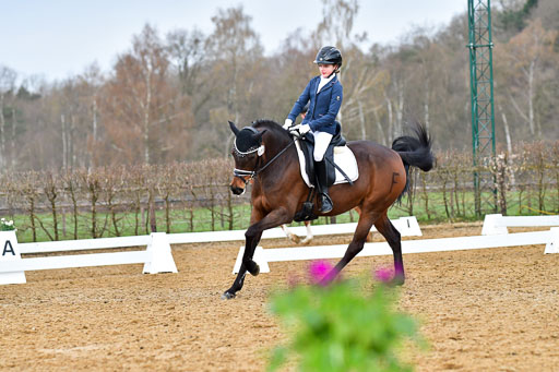 Reitsportzentrum Bremervörde | 170421 Dressurreiter A_384 