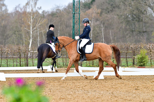 Reitsportzentrum Bremervörde | 170421 Dressurreiter A_389 