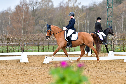 Reitsportzentrum Bremervörde | 170421 Dressurreiter A_390 