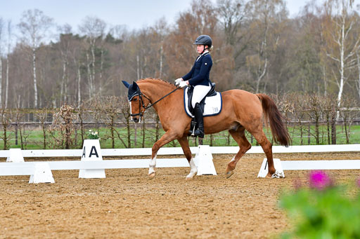 Reitsportzentrum Bremervörde | 170421 Dressurreiter A_391 