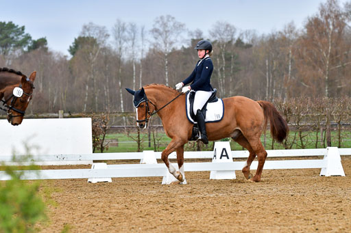 Reitsportzentrum Bremervörde | 170421 Dressurreiter A_392 