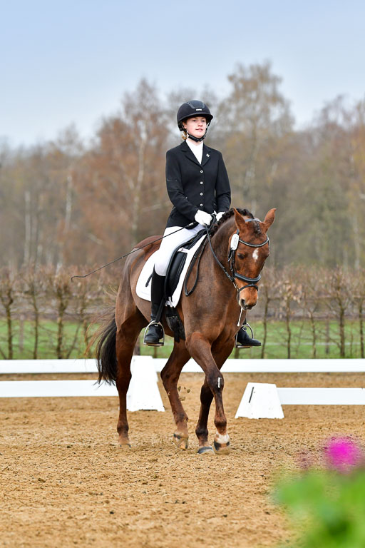 Reitsportzentrum Bremervörde | 170421 Dressurreiter A_394 