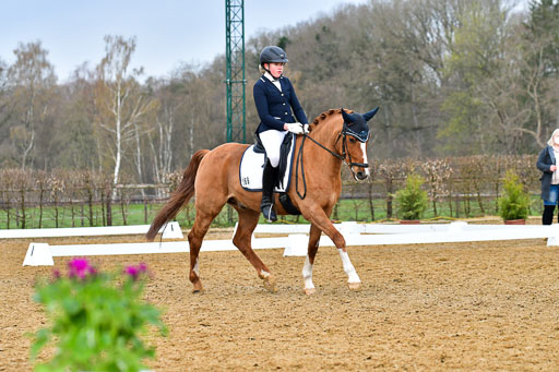 Reitsportzentrum Bremervörde | 170421 Dressurreiter A_397 