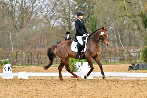 Reitsportzentrum Bremervörde | 170421 Dressurreiter A_399 