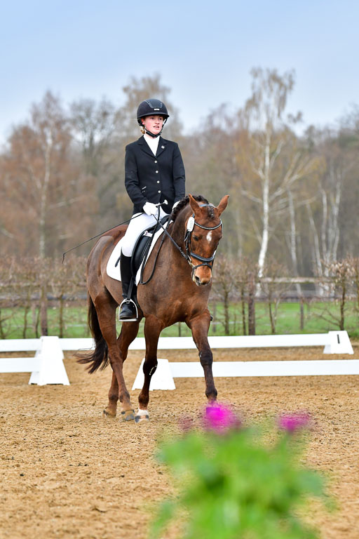 Reitsportzentrum Bremervörde | 170421 Dressurreiter A_408 