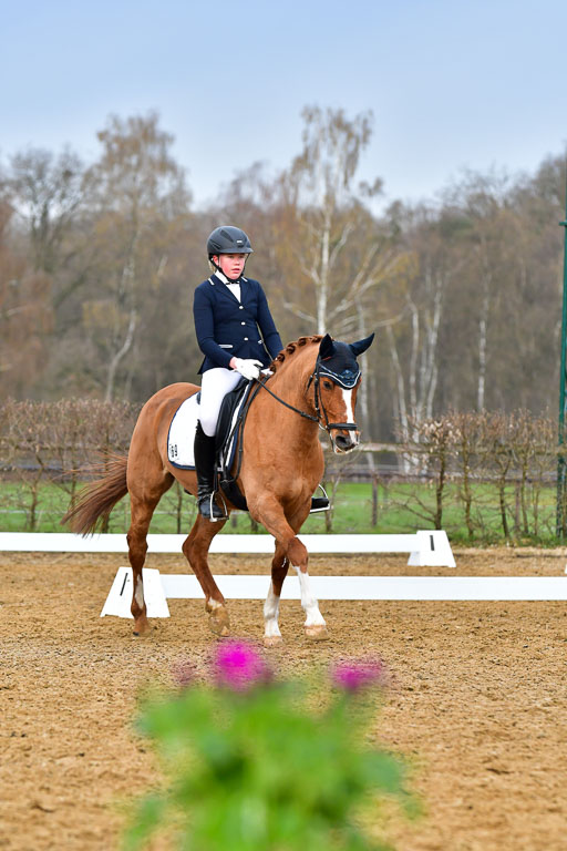 Reitsportzentrum Bremervörde | 170421 Dressurreiter A_410 