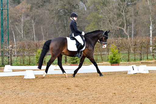 Reitsportzentrum Bremervörde | 170421 Dressurreiter A_436 
