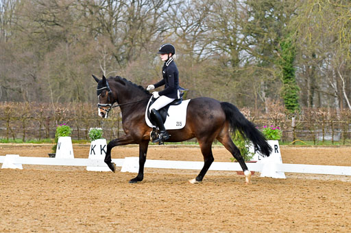 Reitsportzentrum Bremervörde | 170421 Dressurreiter A_443 