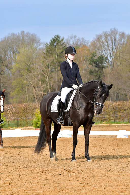 Reitsportzentrum Bremervörde | 170421 Dressurreiter A_460 