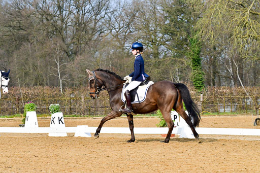 Reitsportzentrum Bremervörde | 170421 Dressurreiter A_501 