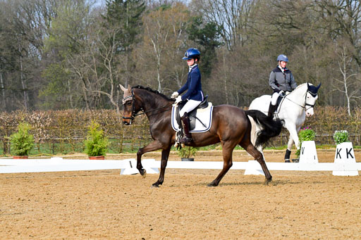 Reitsportzentrum Bremervörde | 170421 Dressurreiter A_502 