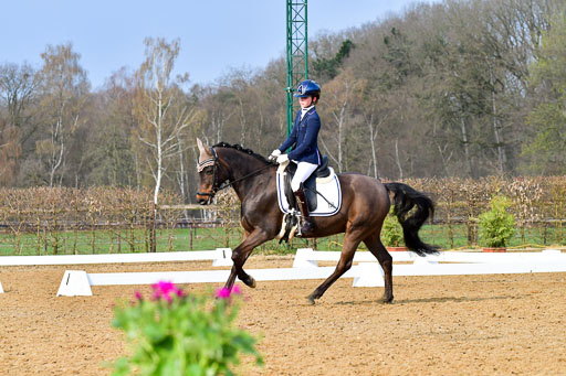 Reitsportzentrum Bremervörde | 170421 Dressurreiter A_504 