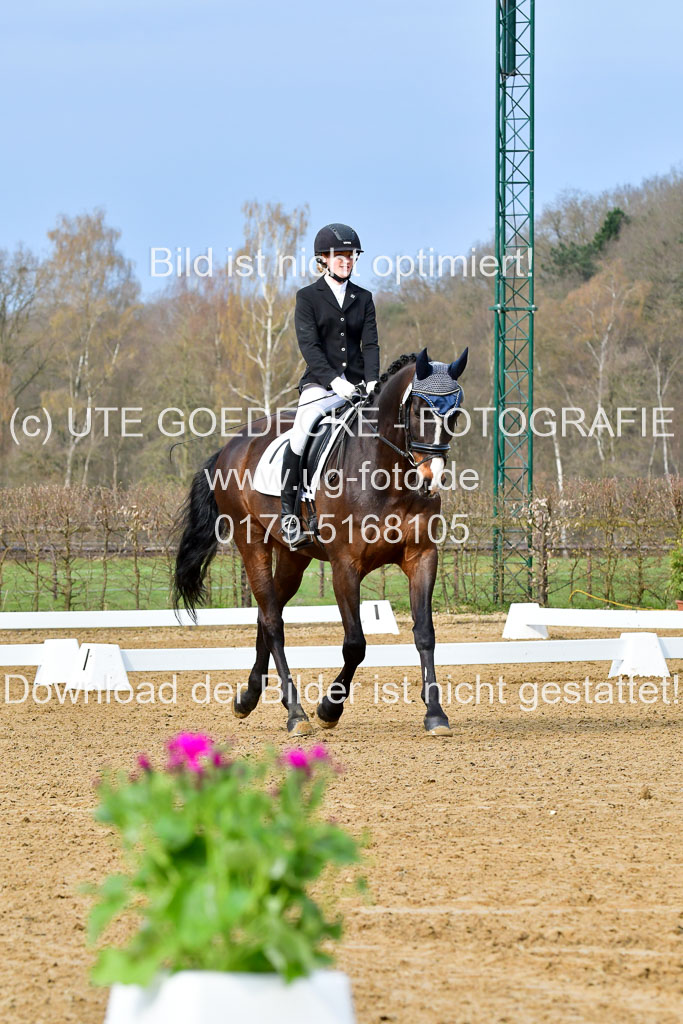 Reitsportzentrum Bremervörde | 170421 Dressurreiter L