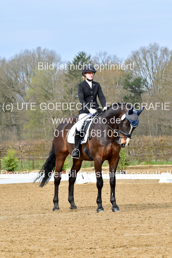 Reitsportzentrum Bremervörde | 170421 Dressurreiter L_001