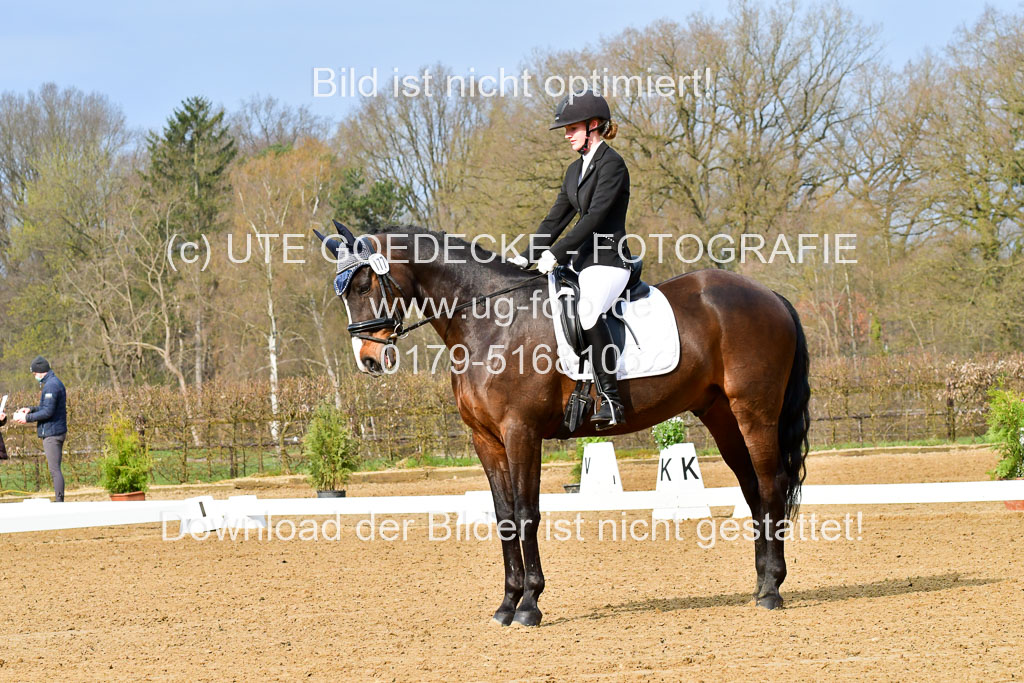 Reitsportzentrum Bremervörde | 170421 Dressurreiter L_002