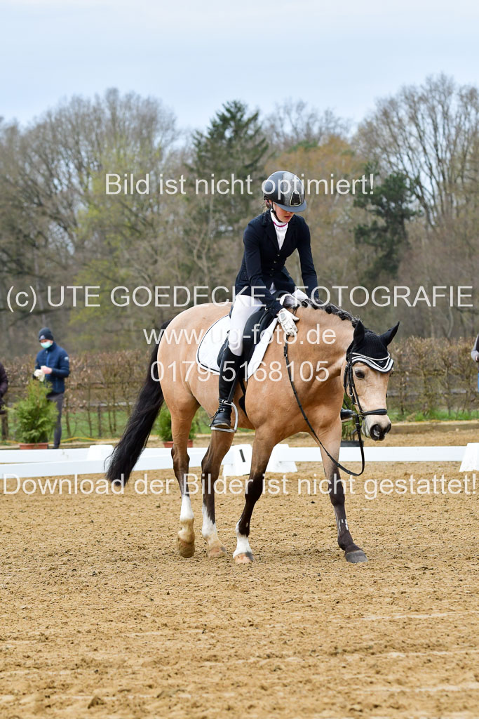 Reitsportzentrum Bremervörde | 170421 Dressurreiter L_015
