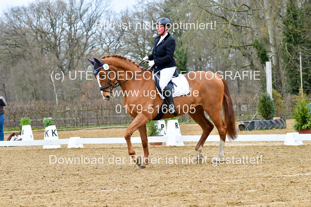 Reitsportzentrum Bremervörde | 170421 Dressurreiter L_020