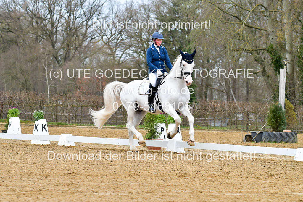 Reitsportzentrum Bremervörde | 170421 Dressurreiter L_035