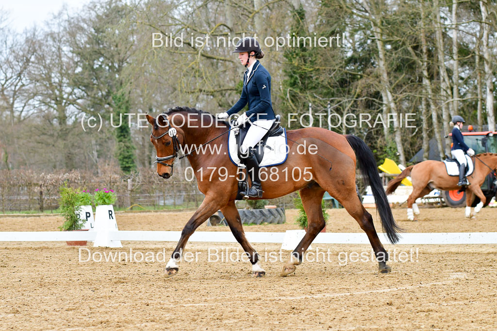 Reitsportzentrum Bremervörde | 170421 Dressurreiter L_043