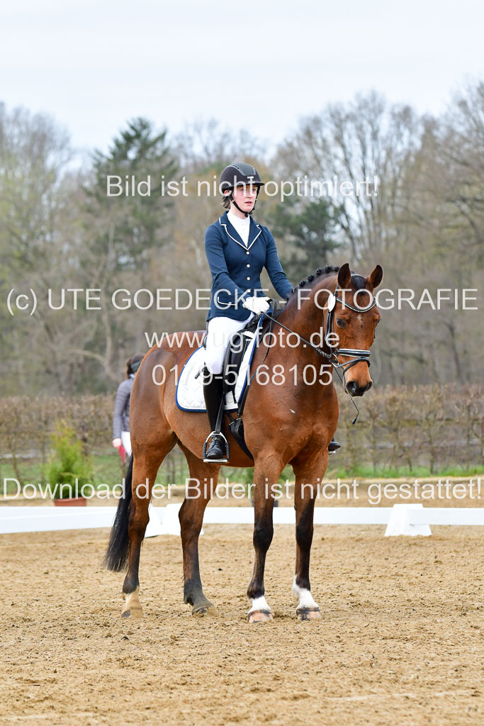Reitsportzentrum Bremervörde | 170421 Dressurreiter L_045