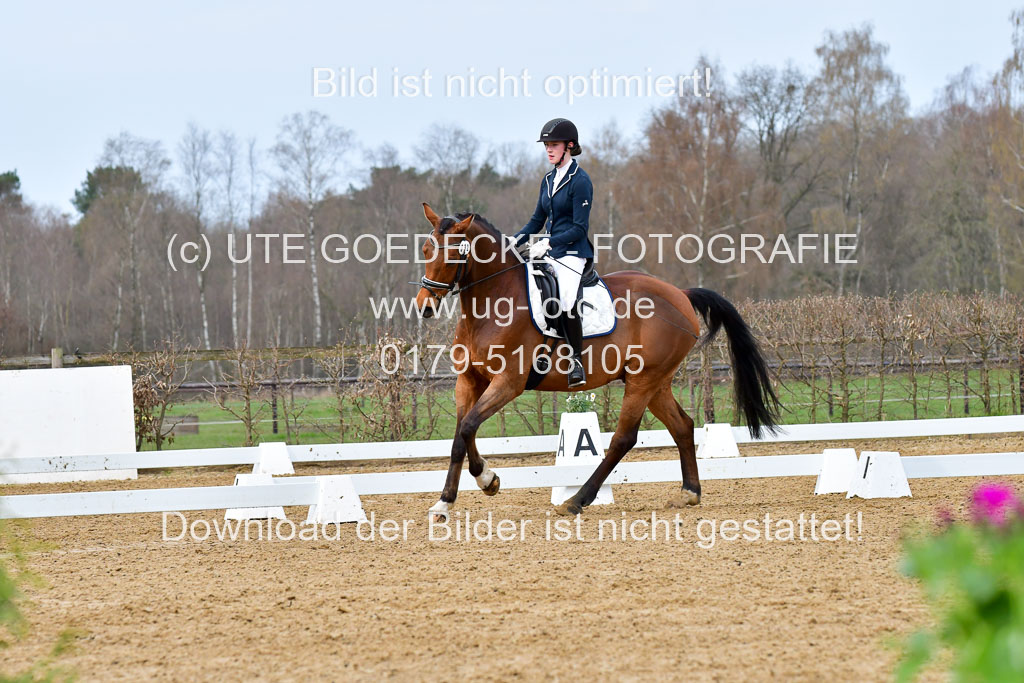 Reitsportzentrum Bremervörde | 170421 Dressurreiter L_051