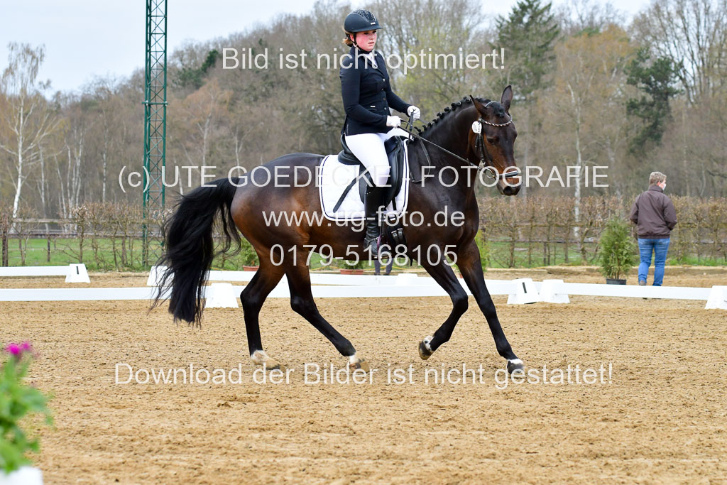 Reitsportzentrum Bremervörde | 170421 Dressurreiter L_057