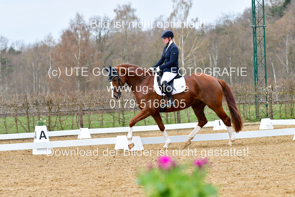 Reitsportzentrum Bremervörde | 170421 Dressurreiter L_061