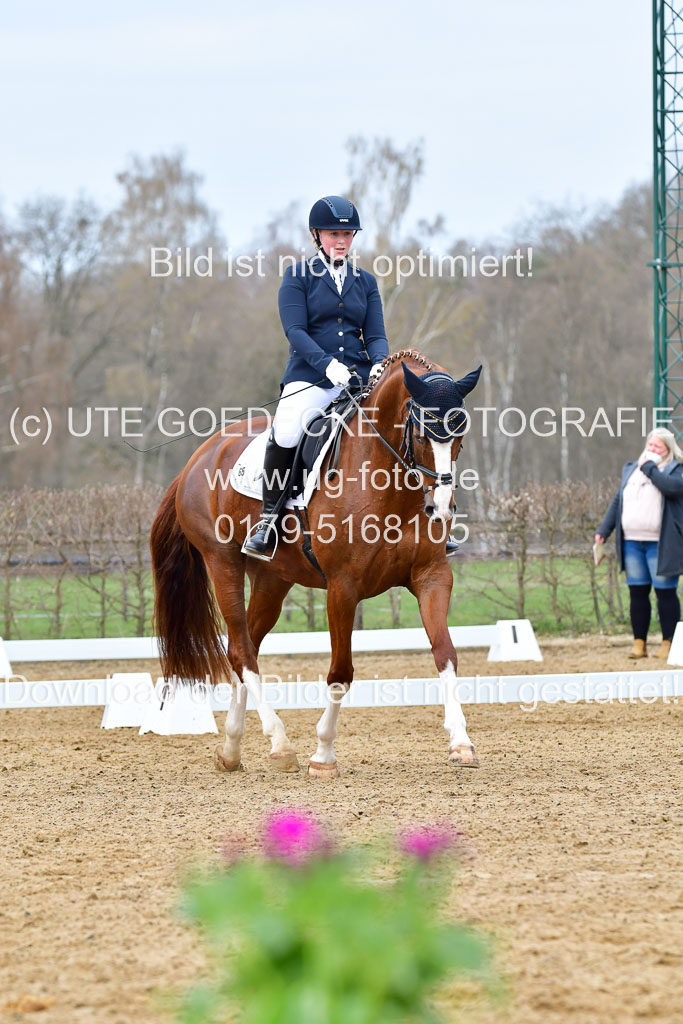 Reitsportzentrum Bremervörde | 170421 Dressurreiter L_072