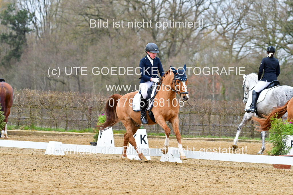 Reitsportzentrum Bremervörde | 170421 Dressurreiter L_086