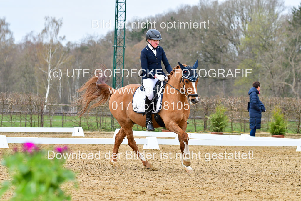 Reitsportzentrum Bremervörde | 170421 Dressurreiter L_089