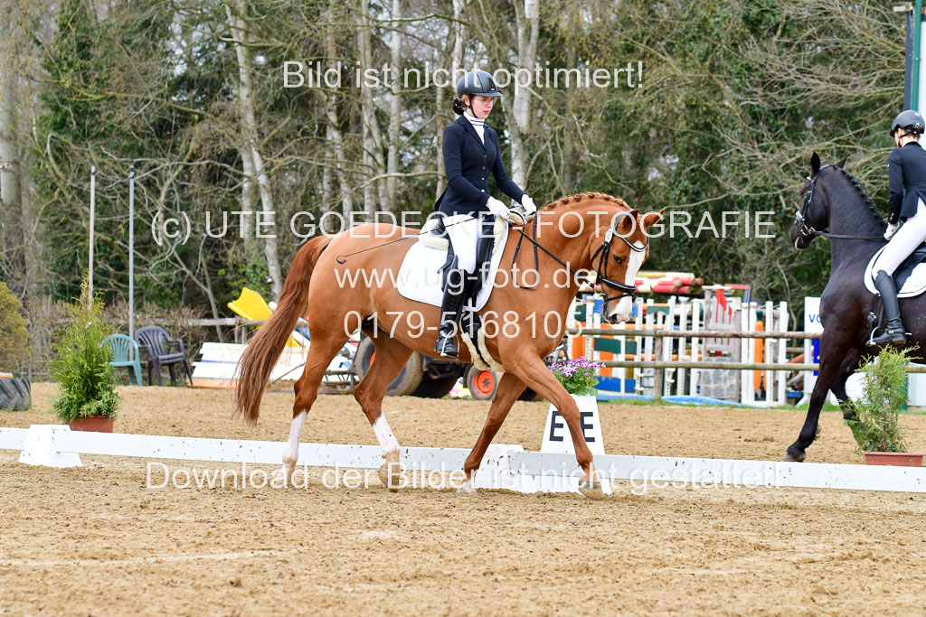 Reitsportzentrum Bremervörde | 170421 Dressurreiter L_097
