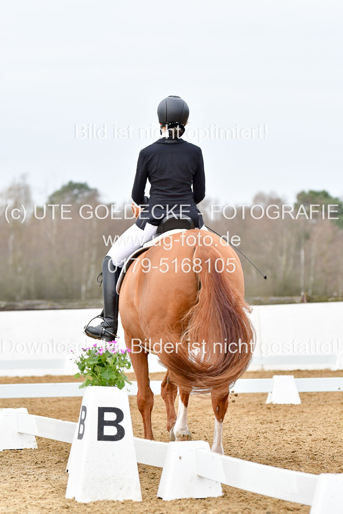 Reitsportzentrum Bremervörde | 170421 Dressurreiter L_098