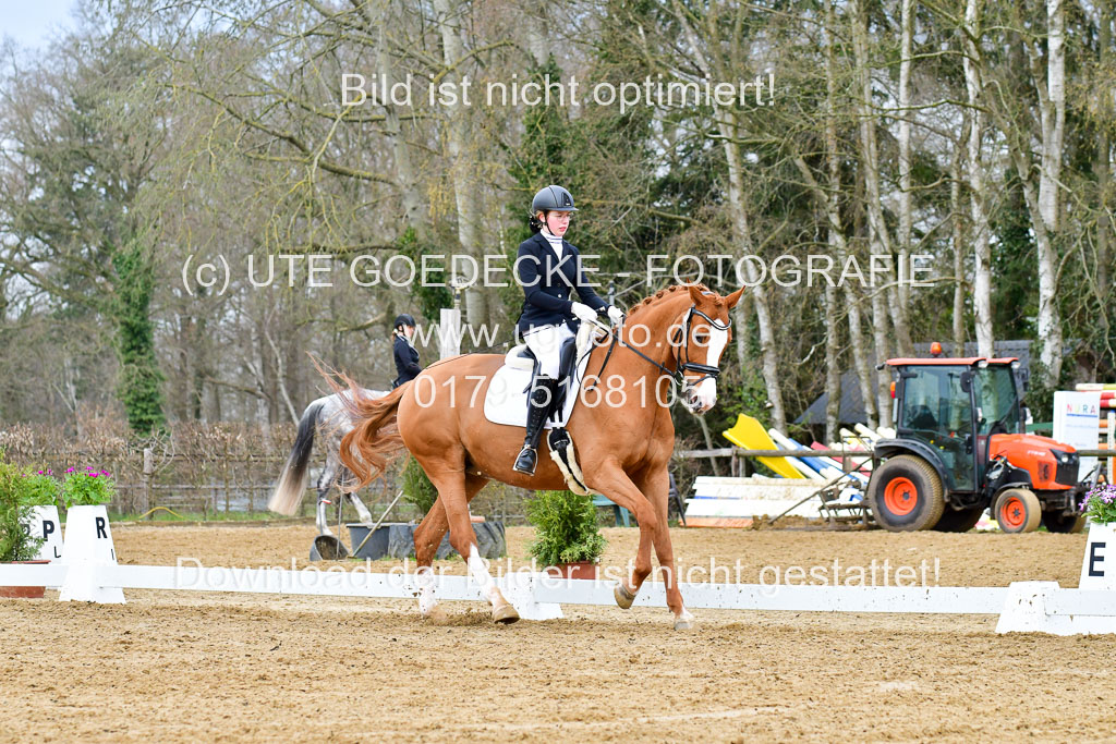 Reitsportzentrum Bremervörde | 170421 Dressurreiter L_107