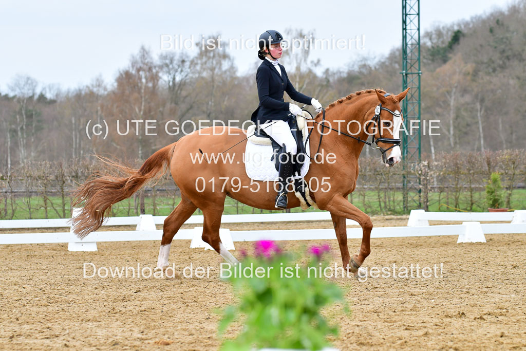 Reitsportzentrum Bremervörde | 170421 Dressurreiter L_108
