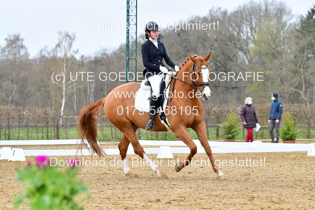 Reitsportzentrum Bremervörde | 170421 Dressurreiter L_109